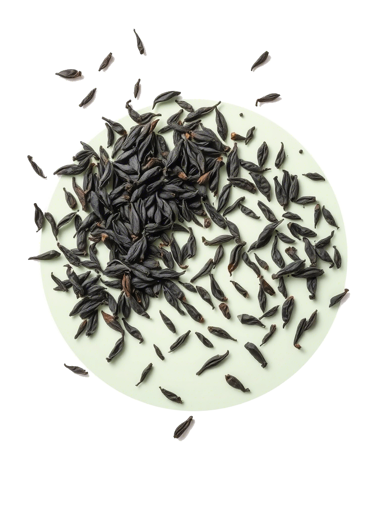 برگ‌های چای سیاه روی پس‌زمینه شفاف با یک شکل سبز پاستلی زیرین